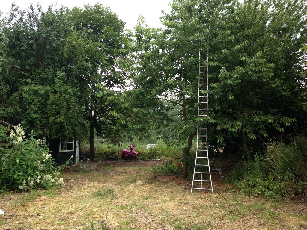 B&B De Henehoeve Heks Luaran gambar